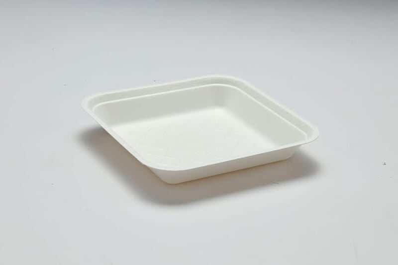 Disposable  Square Plate