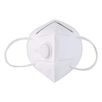 Face Mask N95 & Filter