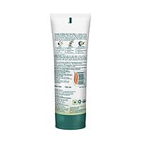 Himalaya Purifying  Face Wash 100 Ml