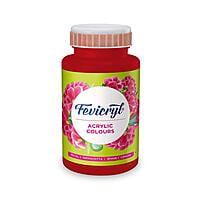 Acrylic Colour, Art and Craft Paint 500ML