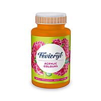 Acrylic Colour, Art and Craft Paint 500ML