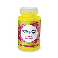 Acrylic Colour, Art and Craft Paint 500ML