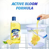 Lizol Disinfectant Surface & Floor Cleaner Liquid,l - 500ml |
