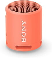 Sony SRS-XB100 Wireless Bluetooth Portable Speaker