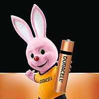 Duracell Alkaline batteries