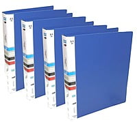 SVS File